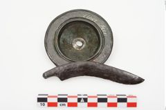 Foto von Bronzephalere (NHMW-PRAE-025077)